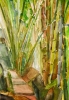 Bambous de GENEVIEVE GOSSOT_36